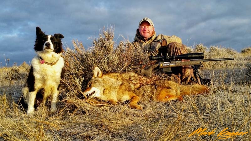 CH, 2018 Coyote success, copyright Mark Kayser edt
