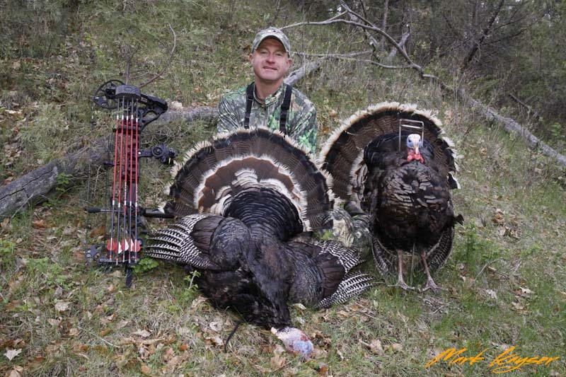 TH1176, Mark Kayser with a Merriam's turkey he shot from a blind set in the preseason, copyright Mark Kayser edt