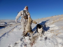 CH579, Mark and Sage with a subzero coyote Sage suckered into holding for a long shot, copyright Mark Kayser